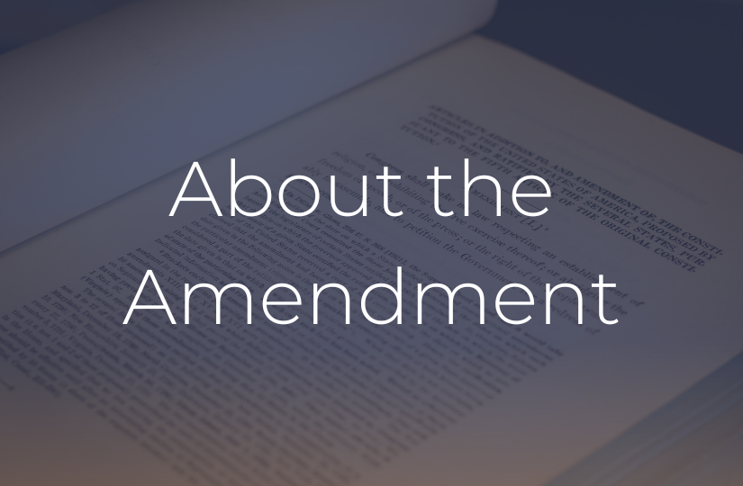 About the Amendment